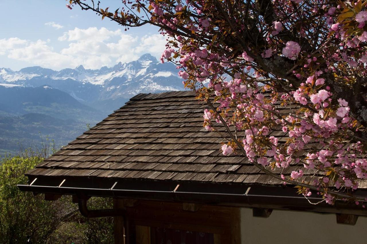 Chalet Cosy Proche Tramway Du Mont-Blanc Et Centre Saint-Gervais-les-Bains Exterior foto